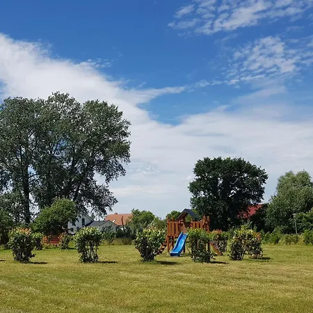 Sonnenblume Gerswalde