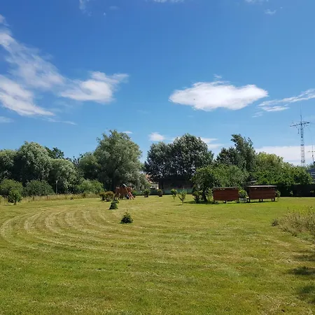 Sonnenblume * Gerswalde