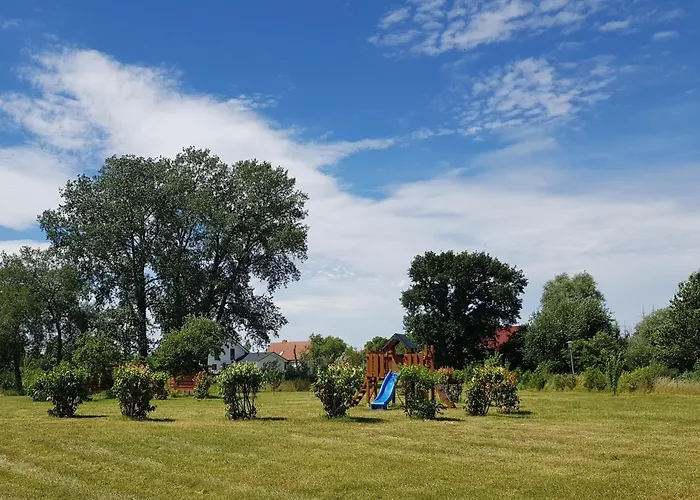 Sonnenblume Gerswalde